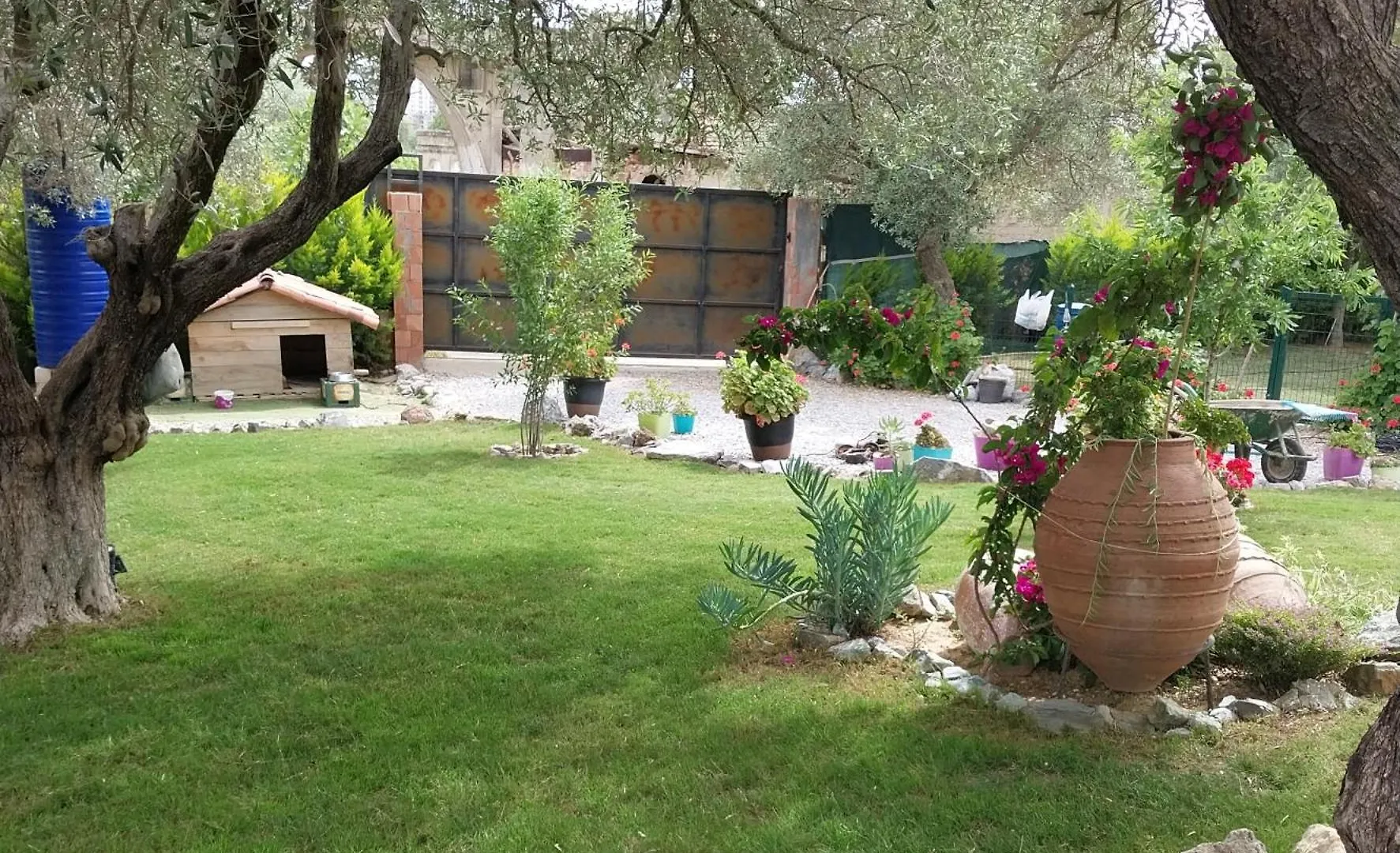 B&B Kusadasi 0*,  Turkey