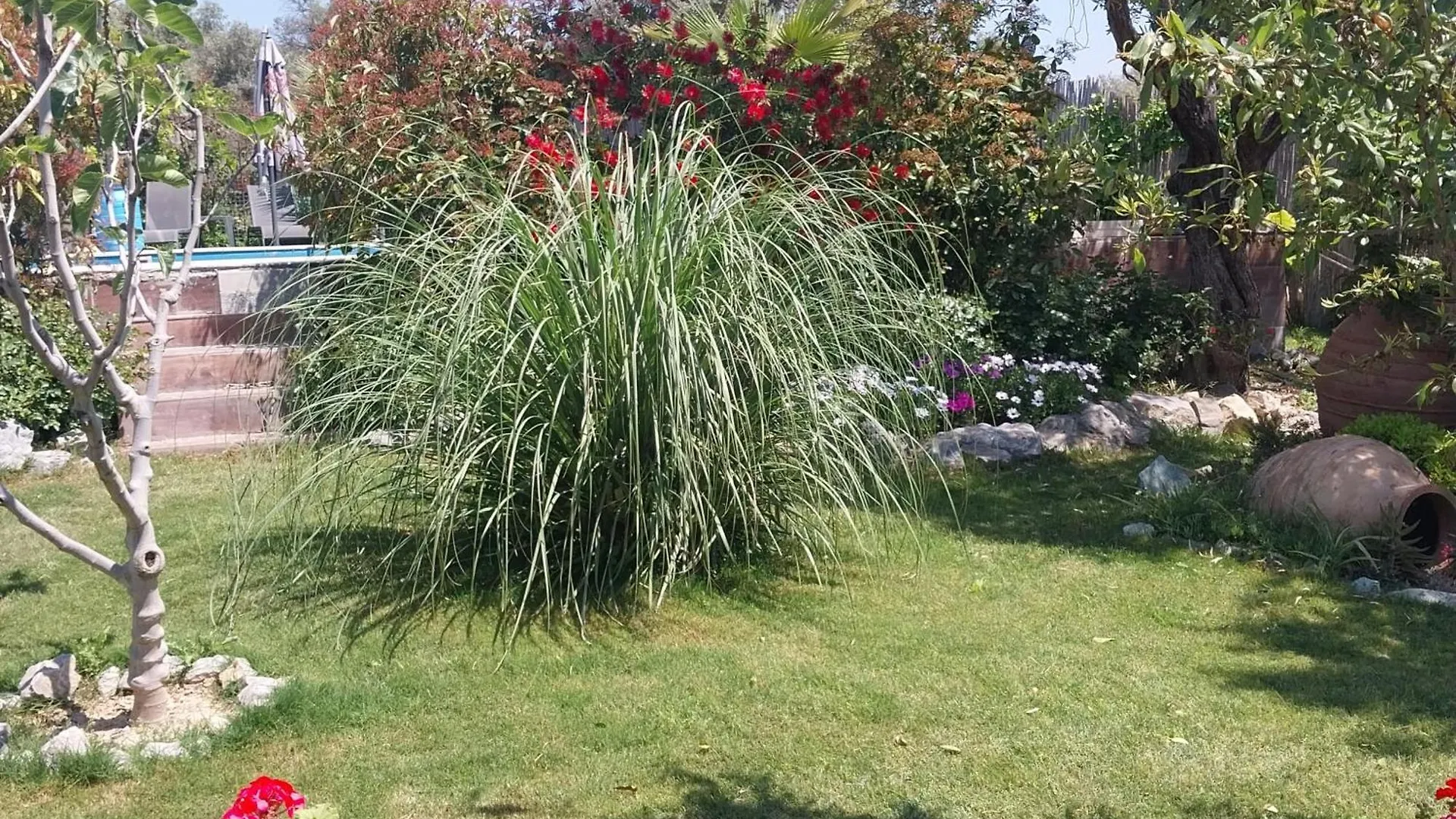 Bed & Breakfast B&B Kusadasi